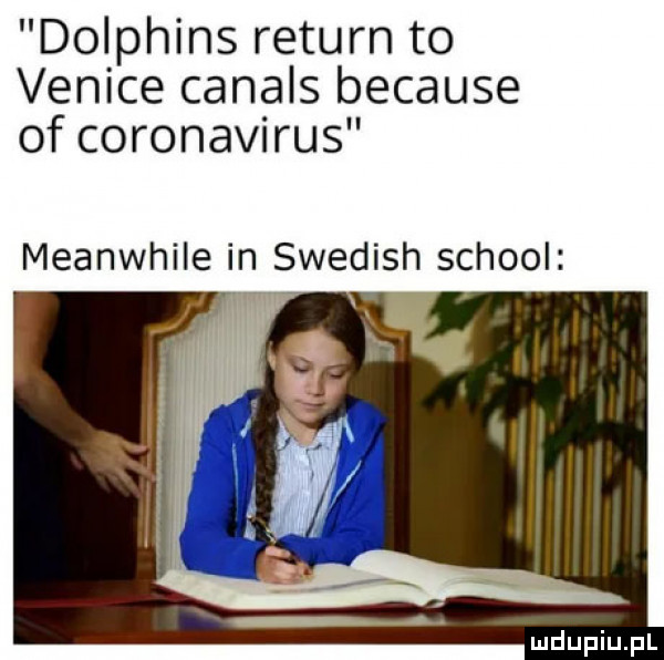 dolphins return to venice casals because of coronavirus meanwhile in swedish scholl