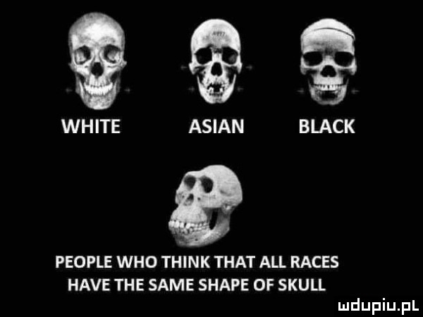 white anian black people who think trat all reces hace tee same shake of skull