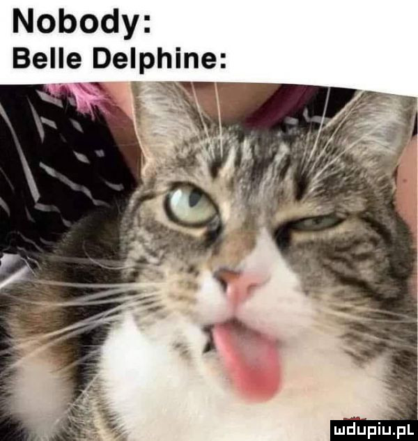nobody belle delphine mriupiupl