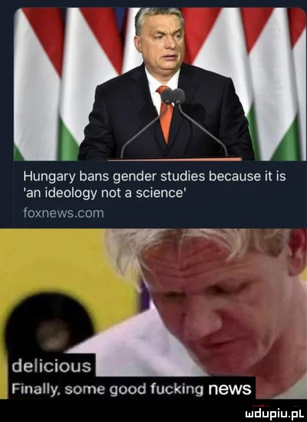 hangary baas gender studies because it is an ideology nota science foxnews com delicious finalny some geod fucking news a