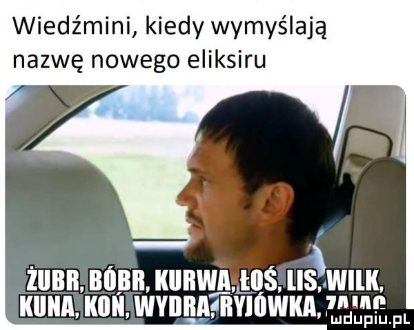 wiedźmini kiedy wymyślają nazwę nowego eliksiru żiibb baba kiibwaułllś llewilk. kalka. kaik wyiikahiyiówka ludupiu. pl