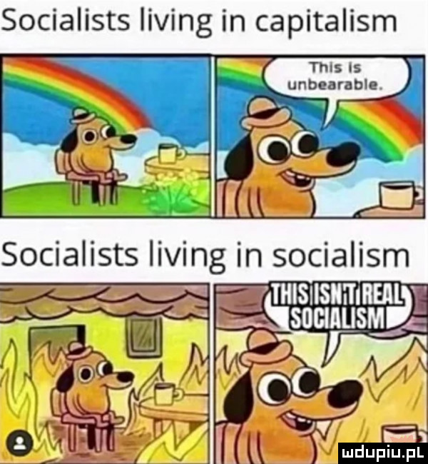socialists lising in capitalism