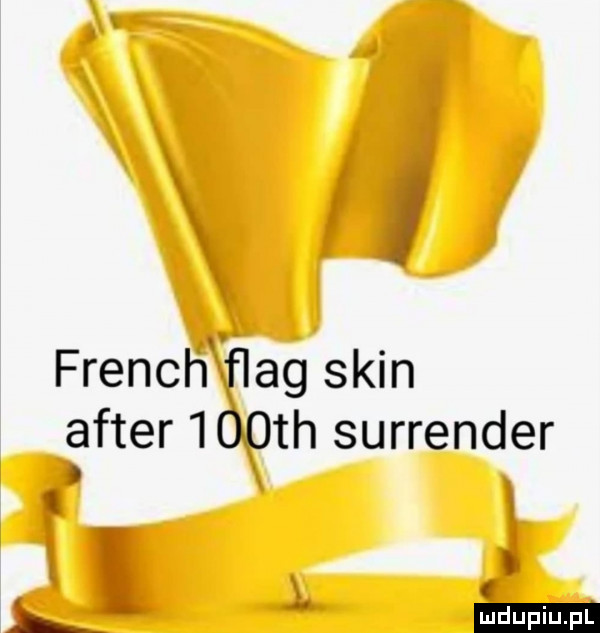 french flag skin after    th surrender