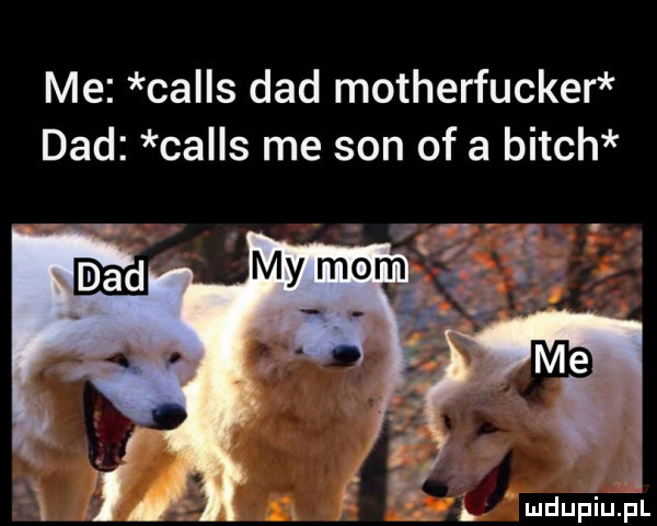 me calls chad motherfucker ddd calls me son of a bitch ludupkiuﬁl