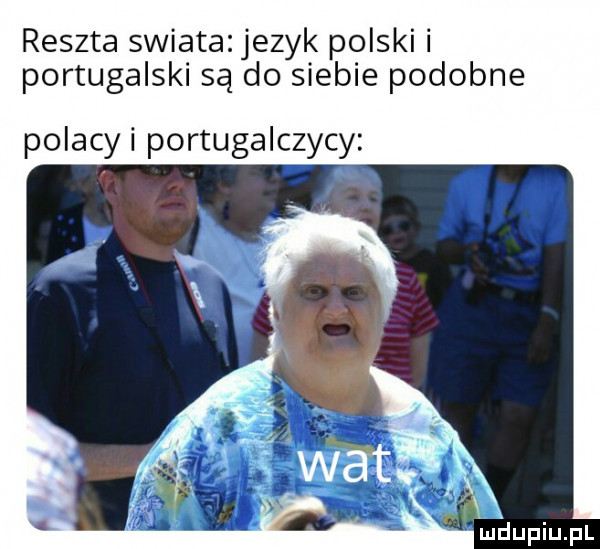 reszta swiata jezyk polski i portugalski są do siebie podobne polacy i portugalczycy
