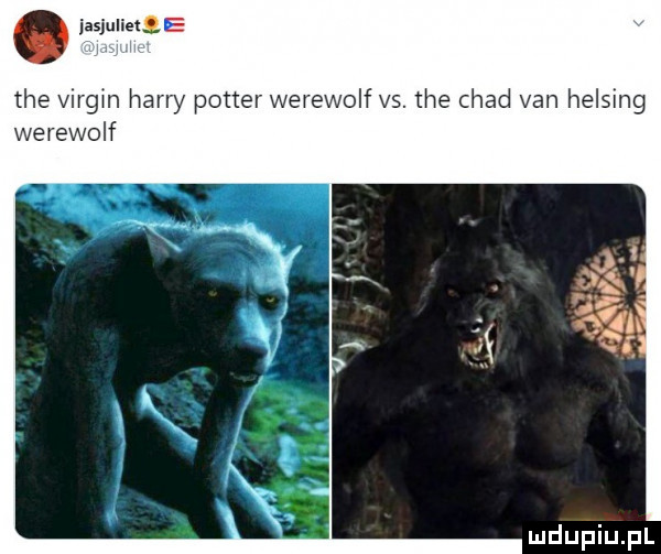 a jasjuliet ﬁh tee virgin hany potter werewolf vs. tee chad van helling werewolf