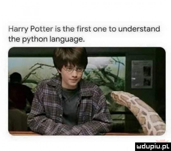 harry potter is tee fiest one to understand tee python language