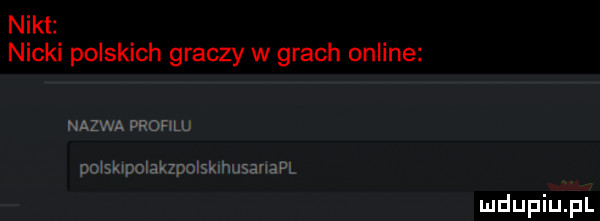 nikt nicki polskich graczy w grach online