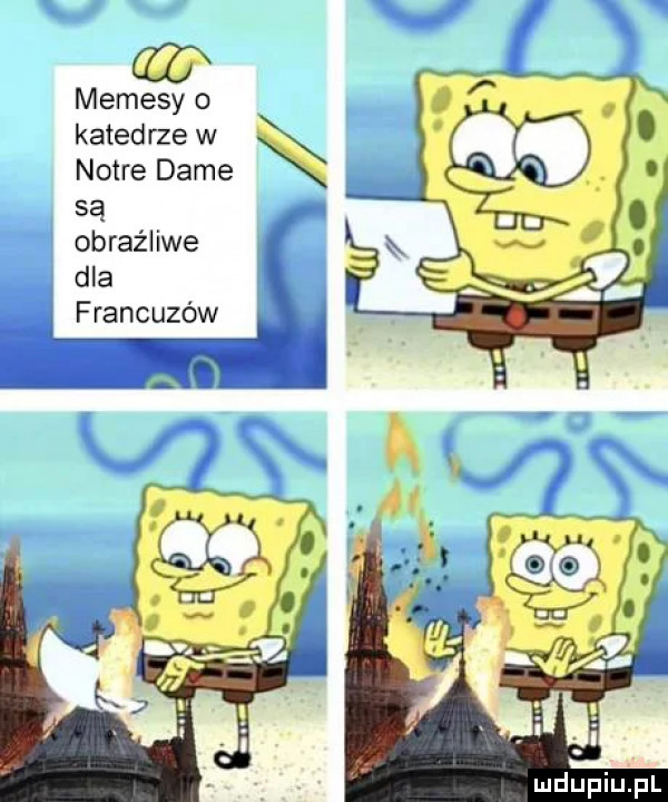memesy o katedrze w notce dame są obraźliwe dla francuzów