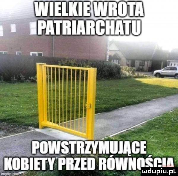 fruwsmzmumui i m piiieii nowunśnln ludupiu. pl
