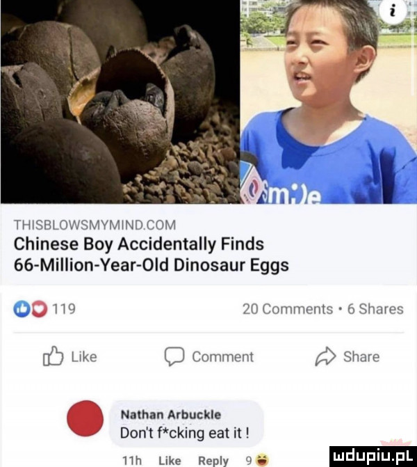 hhsm owsmvmwi com chinese boy accidentally finis    million year ocd dinozaur eggs   h q comments scam ó hao o comment scam. nathan arbnckle don t f cking edt it  m like repry a ludu iu. l