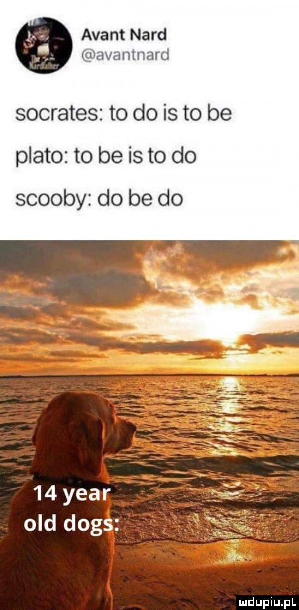 avant nard avantnard socrates to do is to be plato to be is to do scoopy do be do