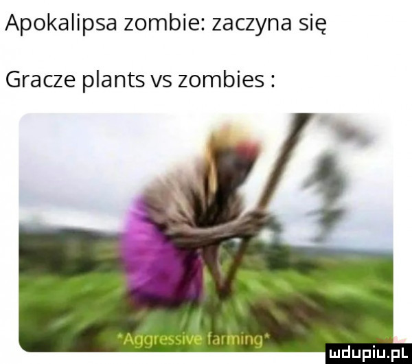apokalipsa zombie zaczyna się gracze plants vs zombies