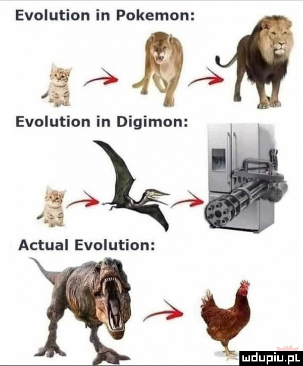 evolution in pokemon   evolution in digimon pak actual evolution