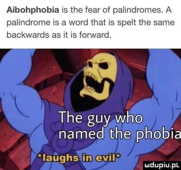 aibohphobia is tee flar of palindromes. a palindrome is a word trat is spelt tee same backwards as it is forward. tee gay who named tee phobia laughs in emil mduplu pl