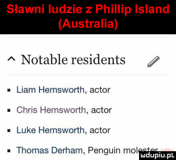 sławni ludzie   phillip island australia a notable residents liam hemsworth aktor chris hemsworth aktor luke hemsworth aktor thomas dirham penguin molﬁﬂm