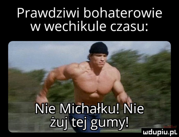 prawdziwi bohaterowie w wechikule czasu me mic haiku i nie ż uj téj gu my a emdupiu. pl