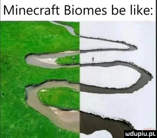 minecraft biomas be like