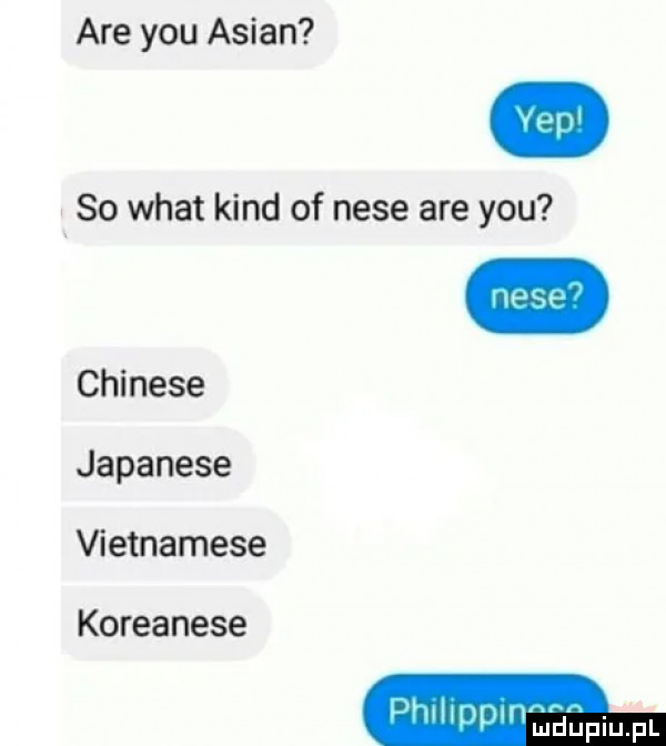 are y-u anian so wiat kand of nyse are y-u chinese japanese wetnamese koreanese wnluuuwm d upiu f