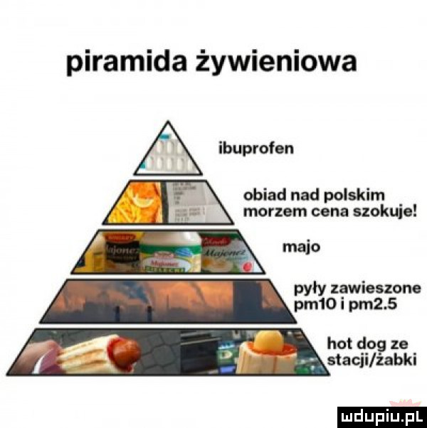 piramida żywieniowa ibuprofen. obiad nad polskim. morzem cena szokuje pyły zawieszone pm o i pm    hot dag ze stacji zabki z  . ludu iu. l