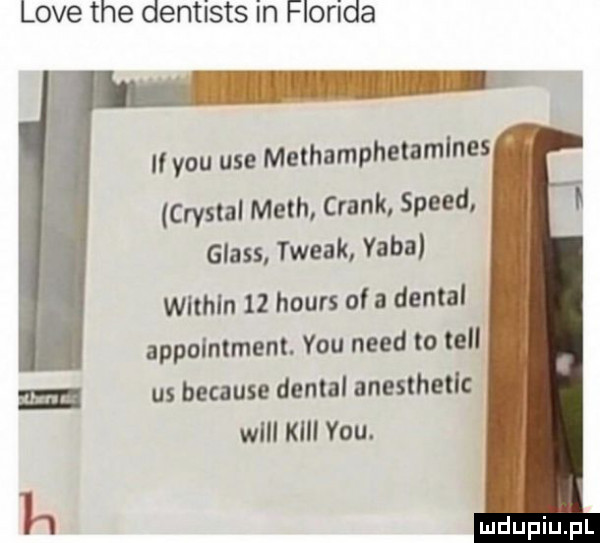 live tee dentists in floryda it y-u ube methamphetamines cristal mech crack speed glass twerk yaba within    hours of a dental i appointment. y-u nerd to tell zm us because dental anesthetic will kai vou. lą