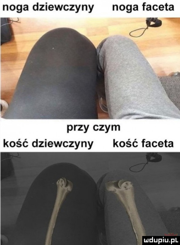 noga dziewczyny noga faceta. przy czyń kość dziewczyny kość faceta