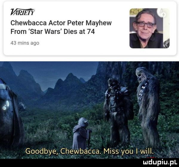 war hy chewbacca aktor peter mayhew fao star wars dres at    goodbye chewbacca. miss y-u wm