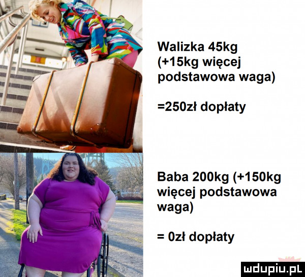 walizka   kg   kg więcej podstawowa waga     i dopłaty baba    kg   olg więcej podstawowa waga obi doplaty ludu iu. l