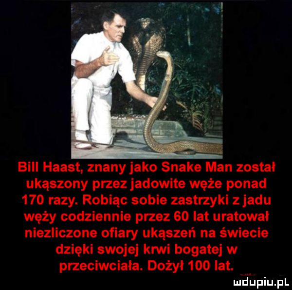 bill haust. znany jako snake man został ukąszony przez jadowite węże ponad     razy. robiąc sobie zastrzyki z jadu węży codziennie przez    lat uratował niezliczone ofiary ukąszeń na świecie dzięki swojej krwi bogatej w przeciwciała. dożyi     lat