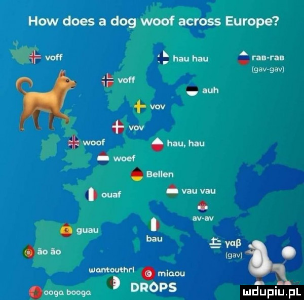 hiw dres a dog wolf across europe w f h hau rna rn gev gall nin wb mi warowna. w drops