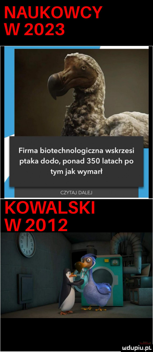 nru koccy w      firma biotechnologiana wskrzesi ptaka dodo ponad     latach po tym jak wymarł czytaj dale kowalski w