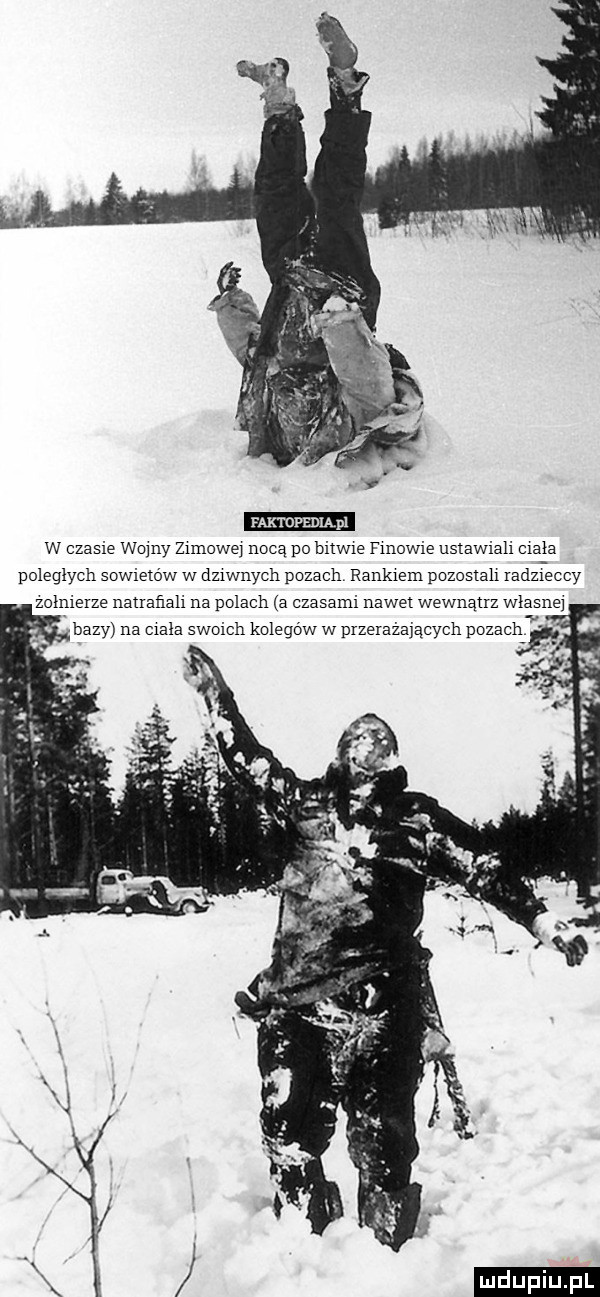 faktopedląpl w czasie wimy zimowe noca po bitwie finowie ustawiali cizia poiegiych sowietów w dziwnych pazach rankiem pozostali radzieccy zołnierze natrafiali na polach a czasami nawet wewnatrz własne bazy na ciala swoich kolegów w przerażających pozach