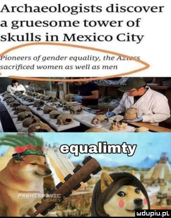archaeologists discover a gruesome tower of skulls in mexico city pioneers ofgcnder equality he al. sacriﬁced wojen as will as men