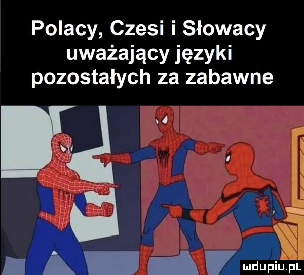 polacy czesi i słowacy uważający języki pozostałych za zabawne