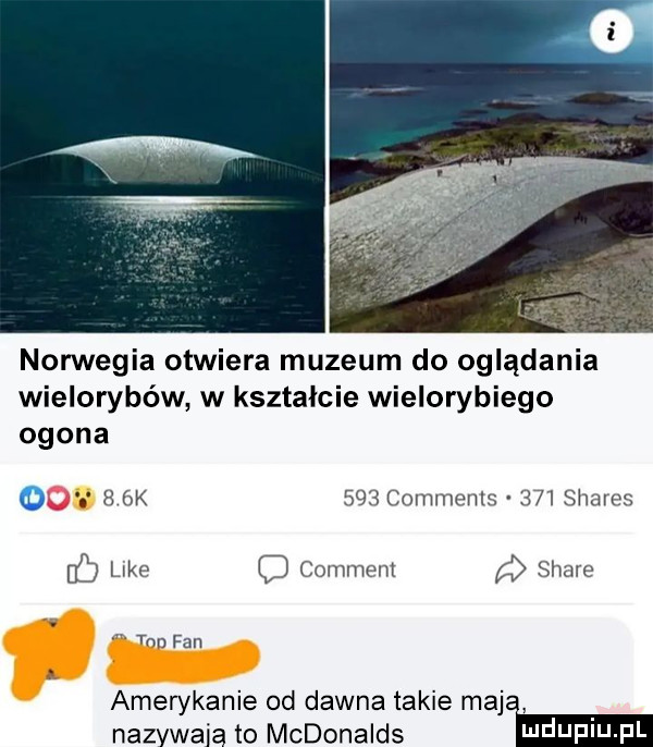 norwegia otwiera muzeum do oglądania wielorybów w kształcie wielorybiego ogona n    k     comment     shaves uac comment stare c d tan fan amerykanie od dawna takie maj nazywaja to mcdonalds am
