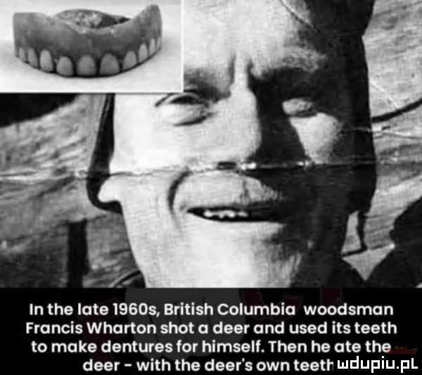 in tee late       british columbia woodsman francis wharton shot a dier and used ihs teeth to make dentures for himself. tlen he ate tee dier with tee dier s ozn teatr i ildijpiij pl