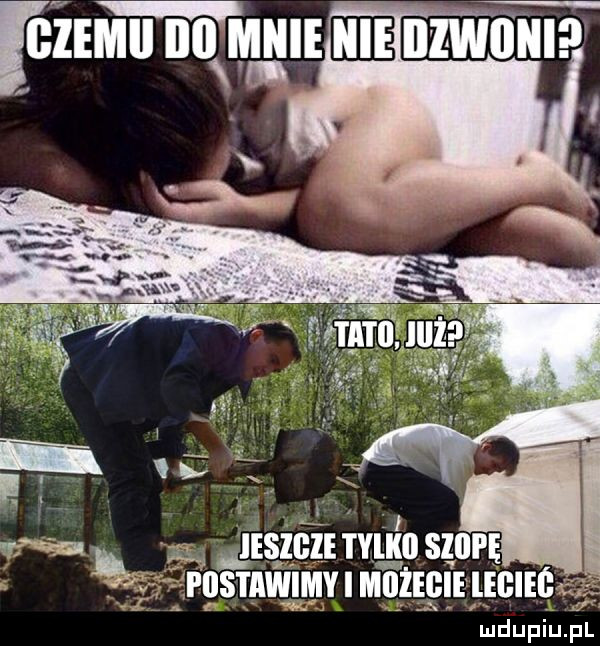 flm u normy i e zwnntua ludupiu. pl