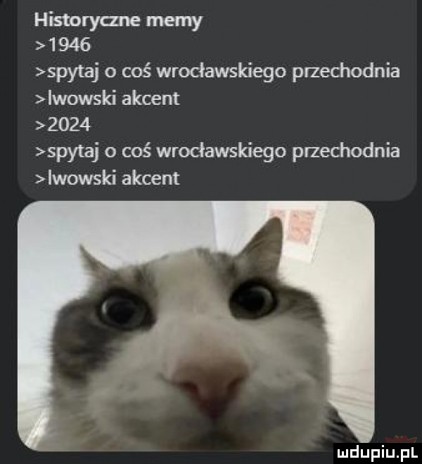 historym ie memy      spytaj o coś wrocławskiego przechodnia iłowski akcent      spytaj o coś wrocławskiego przechodnia iłowski akcent