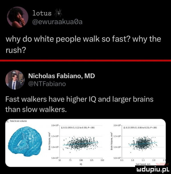 x lotus   x wdy do white people walk so fast wdy tee ruch l ig nicholas fabiano md fast walters hace higher iq and langer brains tran slow walters