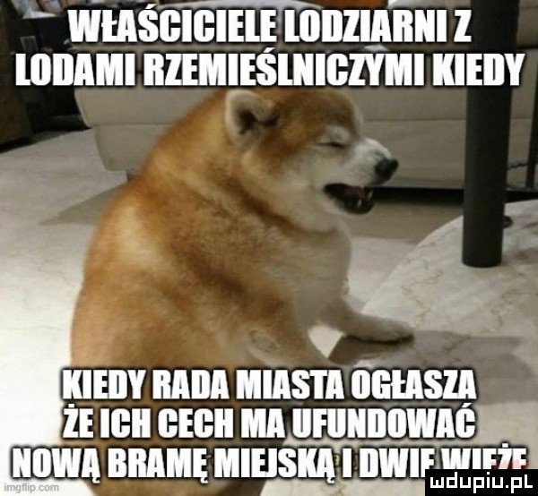 whiśgigiele lollllﬁlllll i lllllllﬂl remieśijiigzymi kieiiy r  mm iiiiwa bamę ihs i ilwif w mdupiu. pl