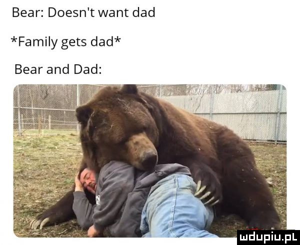 bear doesn t want ddd family gees ddd bear and ddd mdupiulpl