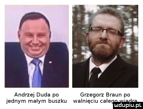andrzej duda po grzegorz braun po jednym małym buszku walnięciu całe ludupiu. pl
