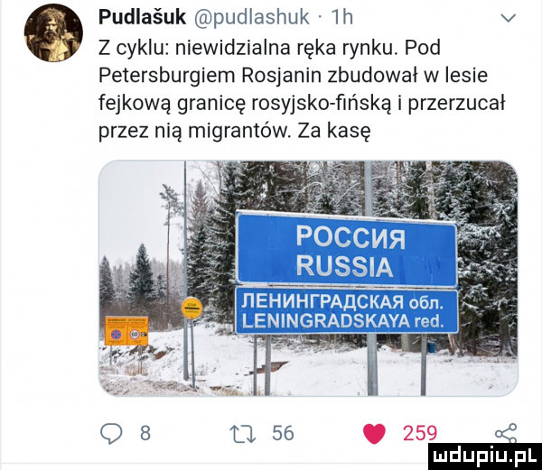 pudlaśuk pudiashuk  h v z cyklu niewidzialna ręka rynku. pod petersburgiem rosjanin zbudował w lesie fejkową granicę rosyjsko fińską i przerzucał przez nią migrantów. za kasę q   l