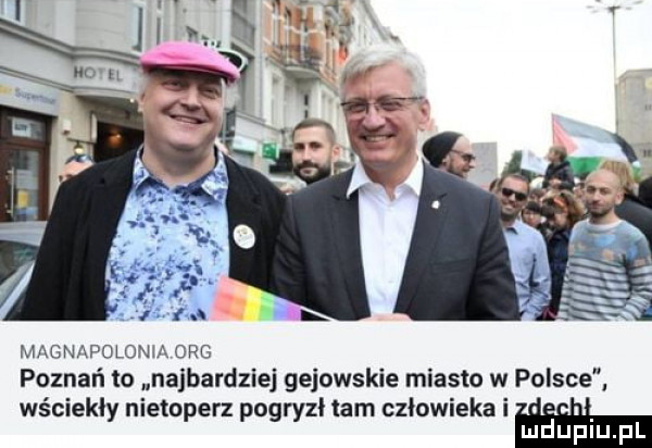 magnapolonia olg poznań to najbardziej gejowskie miasto w polsce wściekły nietoperz pogryzł tam człowieka i mduplu pl