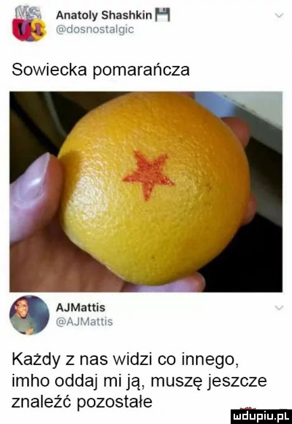 miga anatomy shashkin h  . unmimśmiąm sowiecka pomarańcza ajmattis a mam każdy z nas widzi co innego imho oddaj mi ją muszę jeszcze znaleźć pozostałe