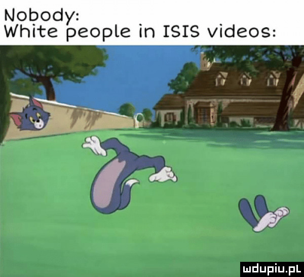 nobody white people m ibis videos