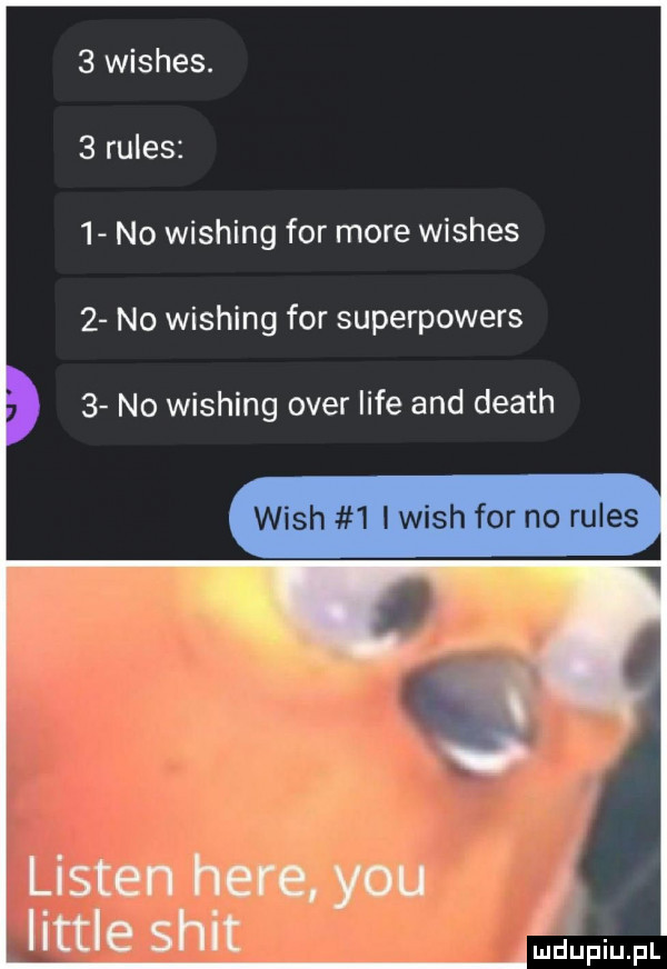 wishes.   rules   no wishing for more wishes   no wishing for superpowers   no wishing ober lice and death wash   lwich for no rules   listen here y-u littré skit