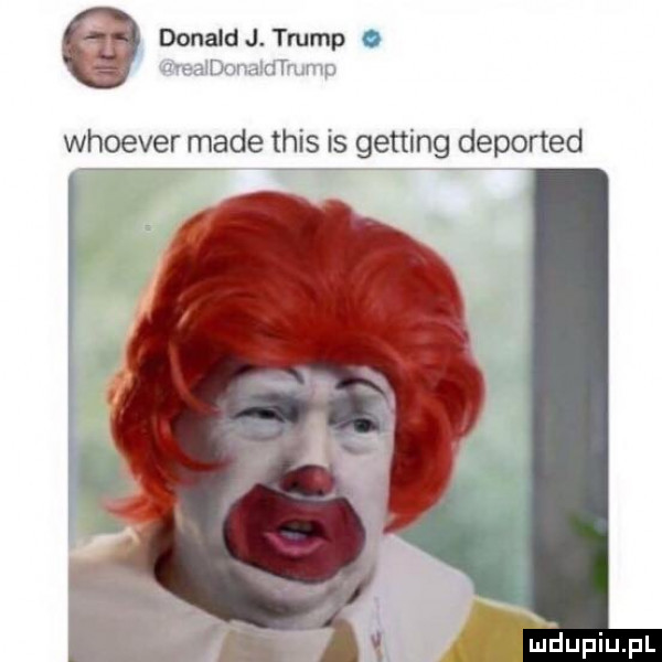 donald j. trump c whoever made tais is getting deported fmdupiupl