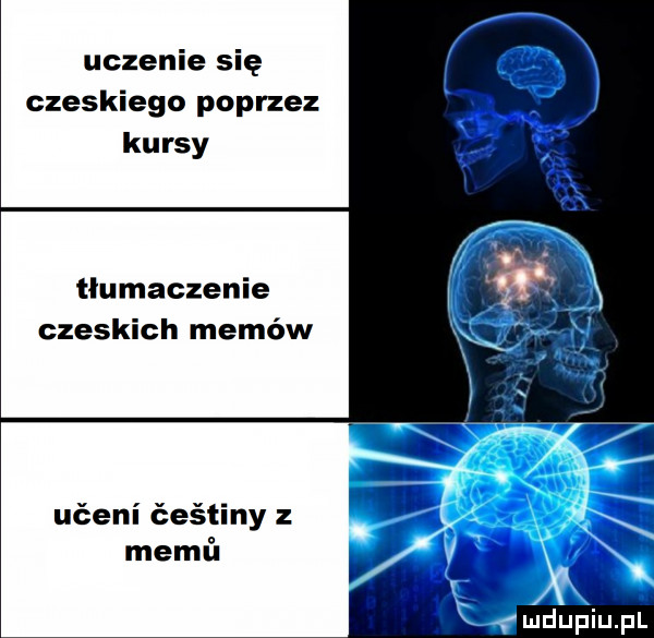 uczenie się czeskiego poprzez kursy tlumaczenie czeskich memów ućeni ćeśtiny memń