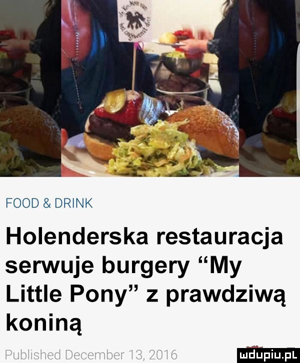 fond drink holenderska restauracja serwuje burgery my littré pony   prawdziwą koniną